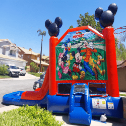 Mickey Mouse and Friends Clubhouse Playground Combo