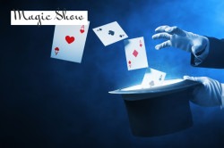 Magic Shows